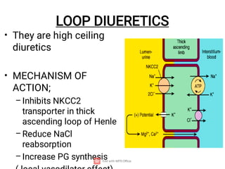 Pharmacology of the Diuretics pdf version | PDF