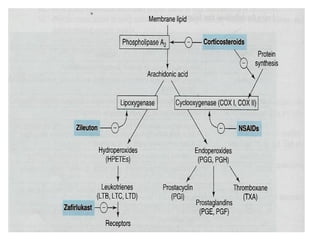 Pharmacology of drugs used in bronchial asthma & COPD.pptx