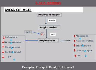 3. ACE Inhibitors
Examples: Enalapril, Ramipril, Lisinopril
 
