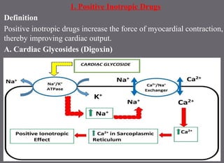 1. Positive Inotropic Drugs
Definition
Positive inotropic drugs increase the force of myocardial contraction,
thereby improving cardiac output.
A. Cardiac Glycosides (Digoxin)
 
