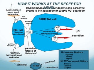 Pharmacology of GI drugs-1 2.pptgggggggg | PPT