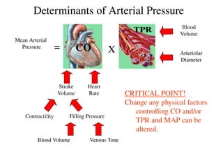 Pharmacology of Hypertension May 2024.pptx