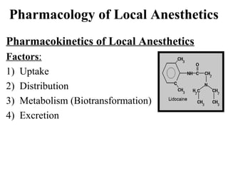 Pharmacology of Local Anesthetics
Pharmacokinetics of Local Anesthetics
Factors:
1) Uptake
2) Distribution
3) Metabolism (Biotransformation)
4) Excretion

 