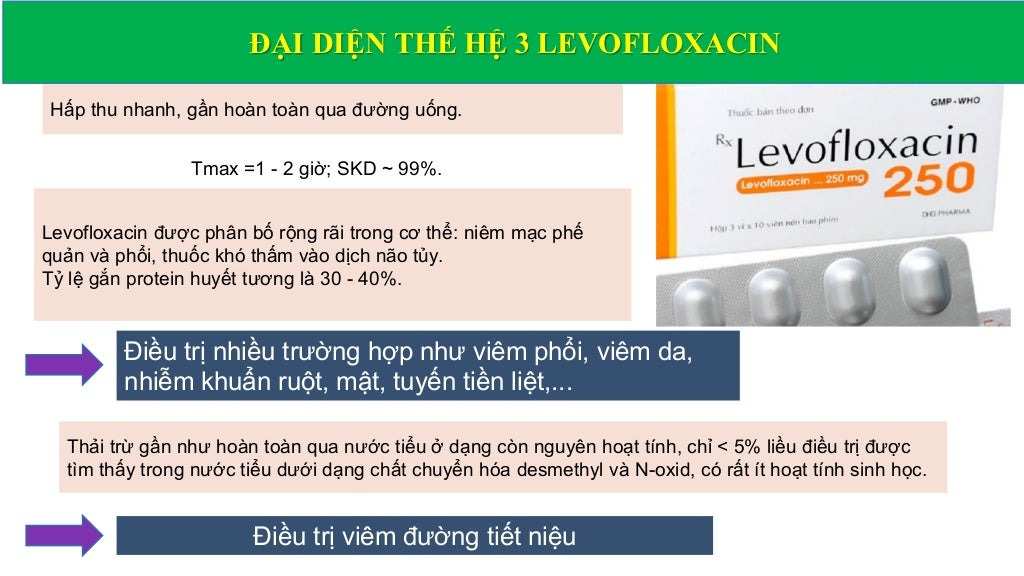 Pharmacology of Quinolone antibiotics Dược lý kháng sinh nhóm Quino…