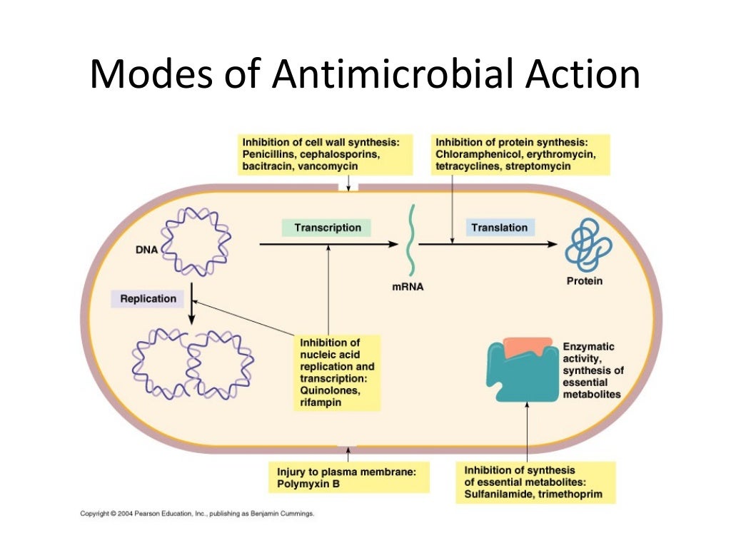 Pharmacology of Antibiotics