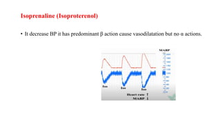 Isoprenaline (Isoproterenol)
• It decrease BP it has predominant β action cause vasodilatation but no α actions.
 