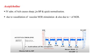 Acetylcholine
 IV adm. of Ach causes sharp ↓in BP & quick normalisation.
 due to vasodilation of vascular M3R stimulation & also due to + of M2R.
 
