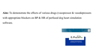 Aim: To demonstrate the effects of various drugs (vasopressor & vasodepressors
with appropriate blockers on BP & HR of perfused dog heart simulation
software.
 