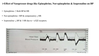 Effect of Vasopressor drugs like Epinephrine, Nor-epinephrine & Isoprenaline on BP
• Epinephrine- ↑ Both BP & HR
• Nor-epinephrine- ↑BP & compensatory ↓ HR
• Isoprenaline- ↓ BP & ↑ HR due to + of β2 receptors.
 