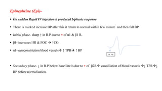 Epinephrine (Epi)-
 On sudden Rapid IV injection it produced biphasic response
 There is marked increase BP after this it return to normal within few minute and then fall BP
 Initial phase- sharp ↑ in B.P due to + of α1 & β1 R.
 β1- increases HR & FOC  ↑CO.
 α1-vasoconstriction blood vessels ↑ TPR ↑ BP
 Secondary phase- ↓ in B.P below base line is due to + of β2R vasodilation of blood vessels ↓ TPR↓
BP before normalisation.
IV. Epi
 