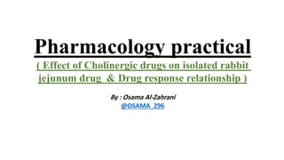 Pharmacology practical
( Effect of Cholinergic drugs on isolated rabbit
jejunum drug & Drug response relationship )
By : Osama Al-Zahrani
@OSAMA_Z96
 