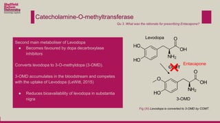 Catecholamine-O-methyltransferase
Second main metaboliser of Levodopa
● Becomes favoured by dopa decarboxylase
inhibitors
Converts levodopa to 3-O-methyldopa (3-OMD).
3-OMD accumulates in the bloodstream and competes
with the uptake of Levodopa (LeWitt, 2015)
● Reduces bioavailability of levodopa in substantia
nigra
COMT
Fig (XI) Levodopa is converted to 3-OMD by COMT.
Levodopa
3-OMD
Qu 3. What was the rationale for prescribing Entacapone?
Entacapone
 