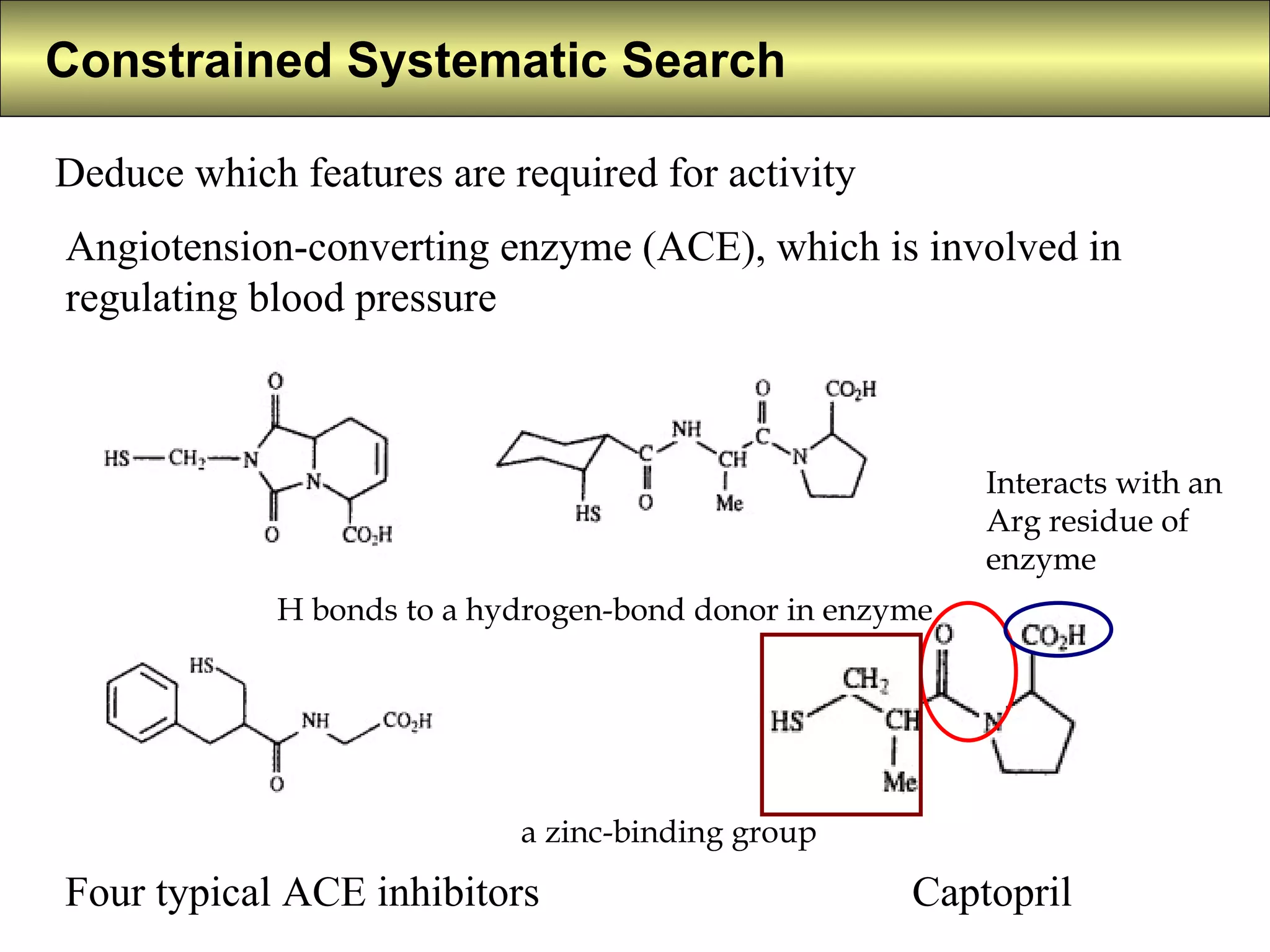 Constrained Systematic Search   Deduce which features are required for activity  Angiotension-converting enzyme (ACE), which is involved in regulating blood pressure  Four typical ACE inhibitors  Captopril  Interacts with an Arg residue of enzyme a zinc-binding group H bonds to a hydrogen-bond donor in enzyme 