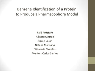 Benzene Identification of a Protein
to Produce a Pharmacophore Model



            RISE Program
           Alberto Cintron
            Nicole Colon
          Natalia Manzano
          Wilmarie Morales
         Mentor: Carlos Santos
 