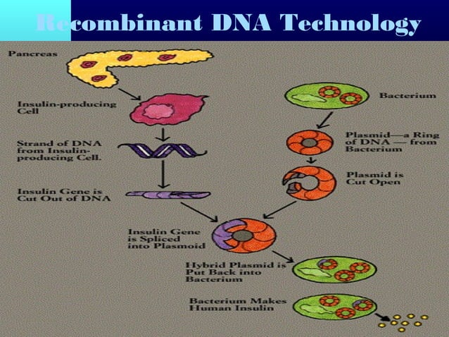 Pharmacotherapeutics PPT