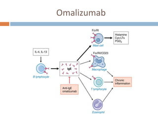 Pharmacotherapy of asthma | PPTX