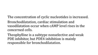 The concentration of cyclic nucleotides is increased.
Bronchodilatation, cardiac stimulation and
vasodilatation occur when cAMP level rises in the
concerned cells.
Theophylline is a subtype nonselective and weak
PDE inhibitor, but PDE4 inhibition is mainly
responsible for bronchodilatation.
 