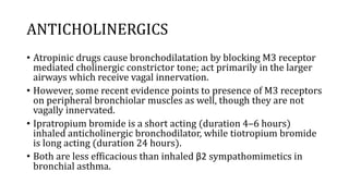ANTICHOLINERGICS
• Atropinic drugs cause bronchodilatation by blocking M3 receptor
mediated cholinergic constrictor tone; act primarily in the larger
airways which receive vagal innervation.
• However, some recent evidence points to presence of M3 receptors
on peripheral bronchiolar muscles as well, though they are not
vagally innervated.
• Ipratropium bromide is a short acting (duration 4–6 hours)
inhaled anticholinergic bronchodilator, while tiotropium bromide
is long acting (duration 24 hours).
• Both are less efficacious than inhaled β2 sympathomimetics in
bronchial asthma.
 
