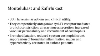 Montelukast and Zafirlukast
• Both have simlar actions and clinical utility.
• They competitively antagonize cysLT1 receptor mediated
bronchoconstriction, airway mucus secretion, increased
vascular permeability and recruitment of eosinophils.
• Bronchodilatation, reduced sputum eosinophil count,
suppression of bronchial inflammation, mucus and
hyperreactivity are noted in asthma patients.
 