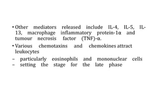 • Other mediators released include IL-4, IL-5, IL-
13, macrophage inflammatory protein-1α and
tumour necrosis factor (TNF)-α.
• Various chemotaxins and chemokines attract
leukocytes
– particularly eosinophils and mononuclear cells
– setting the stage for the late phase
 
