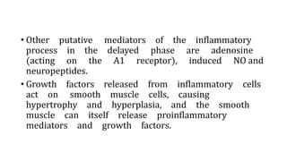 • Other putative mediators of the inflammatory
process in the delayed phase are adenosine
(acting on the A1 receptor), induced NO and
neuropeptides.
• Growth factors released from inflammatory cells
act on smooth muscle cells, causing
hypertrophy and hyperplasia, and the smooth
muscle can itself release proinflammatory
mediators and growth factors.
 
