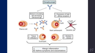 Pharmacotherapy of Asthma and Chronic Obstructive Pulmonary Disease ...