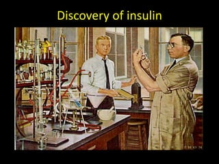 Number of cell / Islet           1-2 thousand