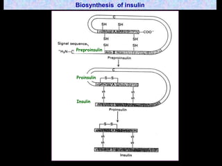 Total Insulin storage            200 units