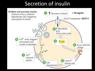 The Miracle of Insulin        Patient leonardthomson.,,                 February 15, 1923December 15 1922