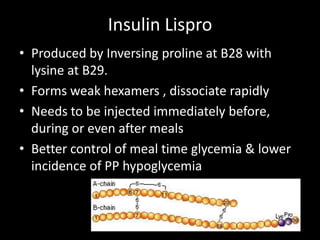Lipid  metabolism↓ Lipolysis↑ Lipogenesis↑ Glycerogenesis↓ Ketogenesis↑ Clearance of VLDL & chylomicrons from blood through enzyme Vascular Endothelial Lipoprotein Lipase