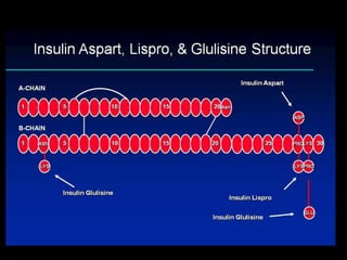 Glucose transporters – 