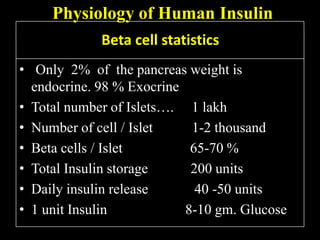 Physiology of Human InsulinBeta cell statisticsOnly  2%  of  the pancreas weight is endocrine. 98 % Exocrine