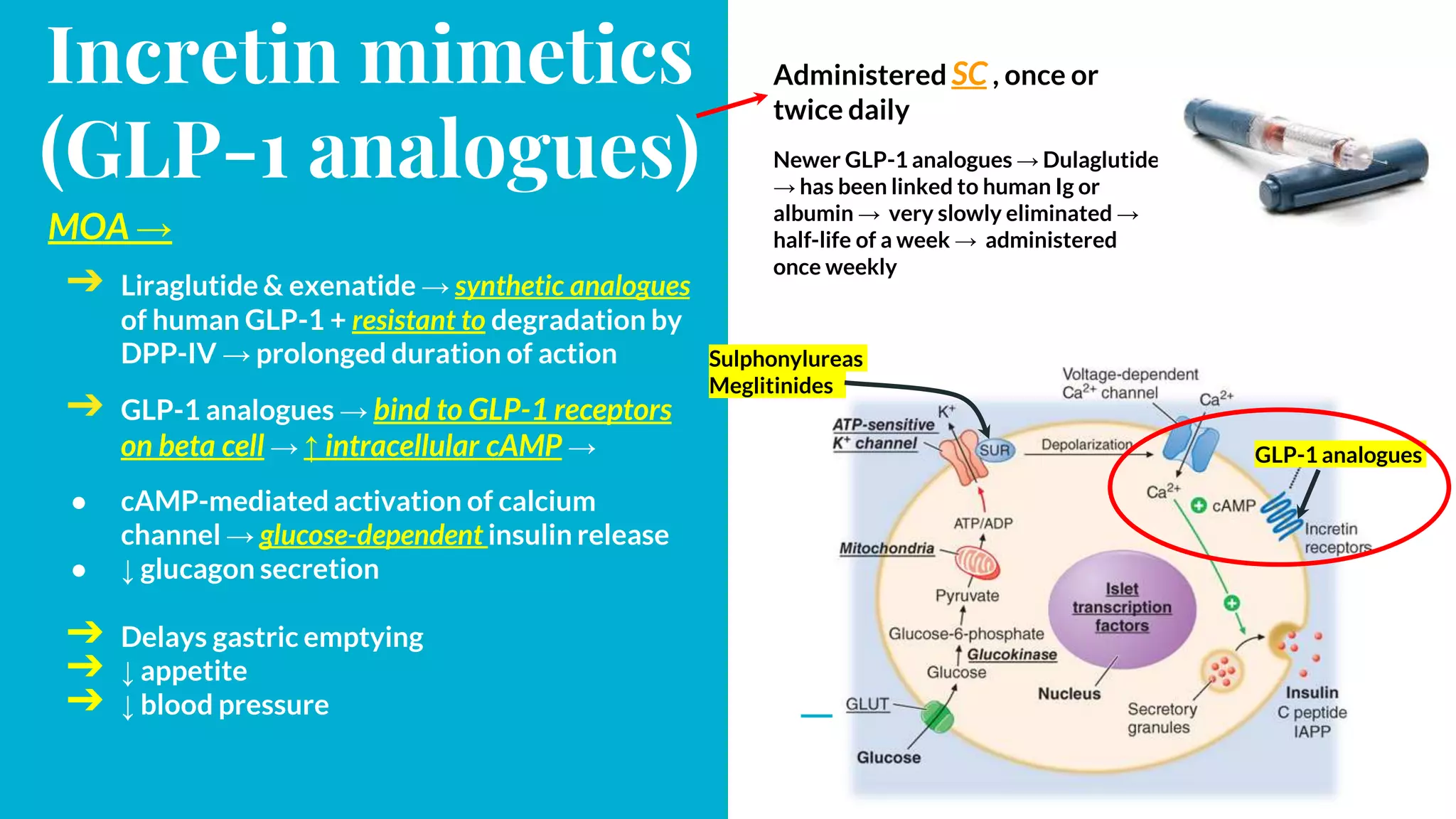 A closer look at The Association Of Incretin Mimetics