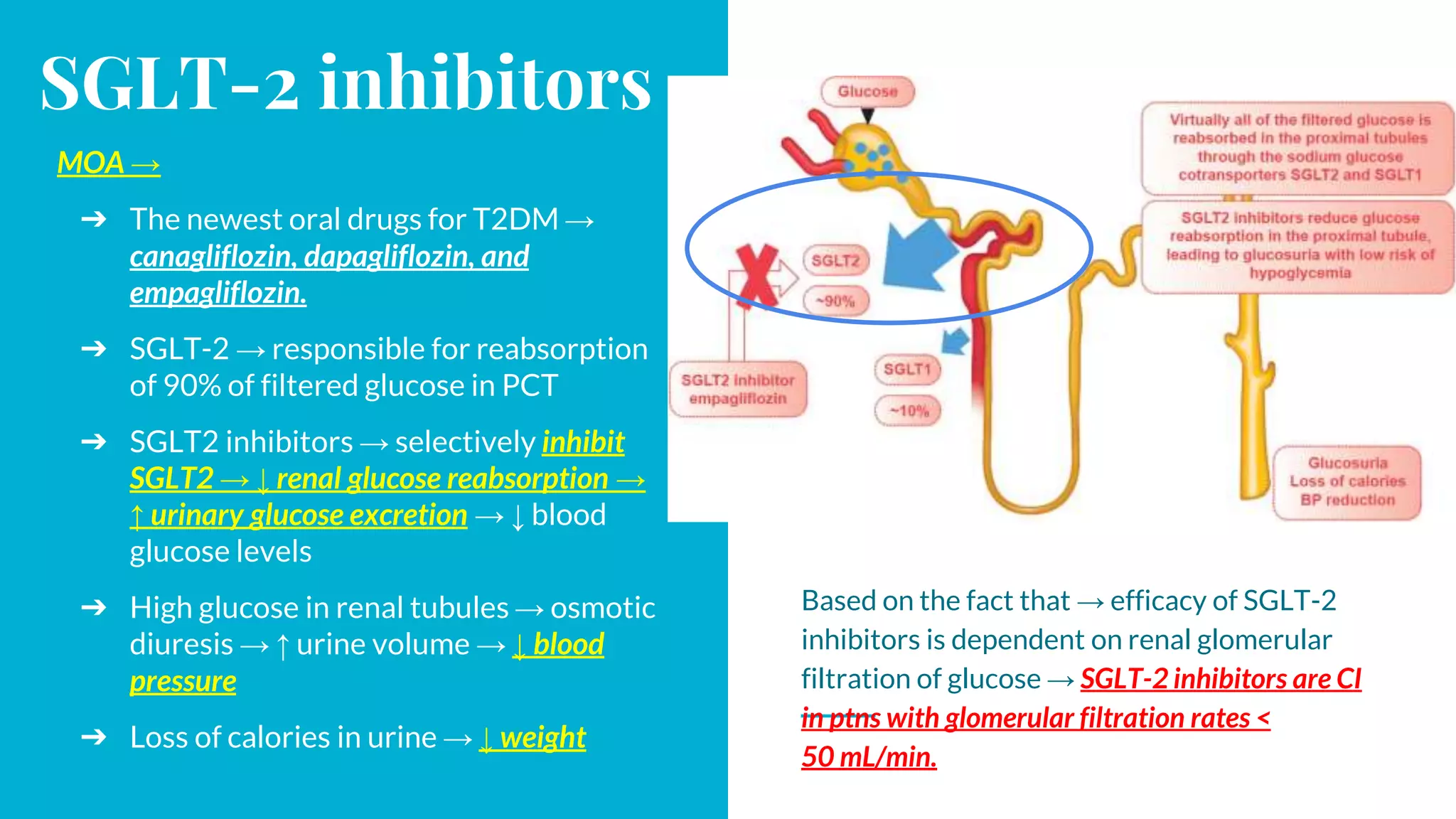 Pharmacotherapy of diabetes mellitus (DM) | PPTX