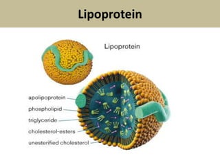 Lipoprotein
 