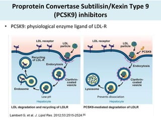 Proprotein Convertase Subtilisin/Kexin Type 9
(PCSK9) inhibitors
• PCSK9: physiological enzyme ligand of LDL-R
Low pH Prevents dissociation
 
