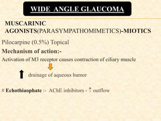 MUSCARINIC
AGONISTS(PARASYMPATHOMIMETICS)-MIOTICS
Pilocarpine (0.5%) Topical
Mechanism of action:-
Activation of M3 receptor causes contraction of ciliary muscle
drainage of aqueous humor
# Echothiaophate :- AChE inhibitors -  outflow
WIDE ANGLE GLAUCOMA
 