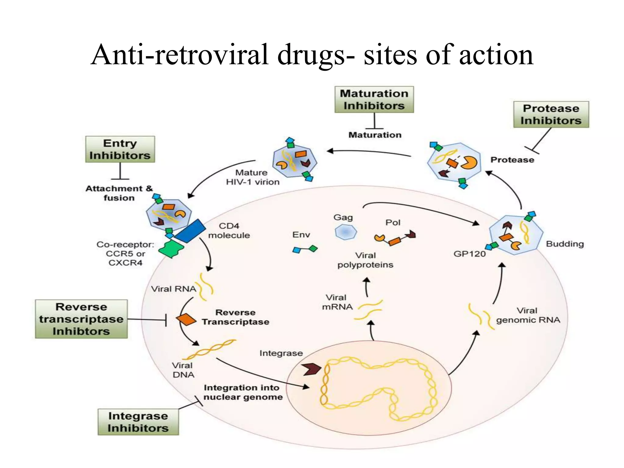 Pharmacotherapy of HIV management | PPTX