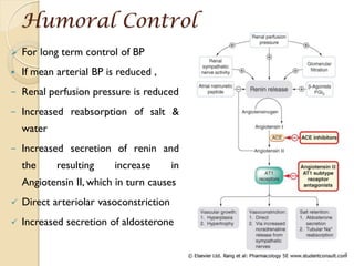 Humoral Control pharmacotherapy of HTN.pdf
