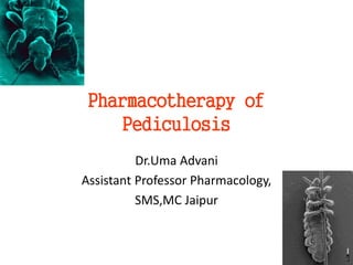 Pharmacotherapy of
Pediculosis
Dr.Uma Advani
Assistant Professor Pharmacology,
SMS,MC Jaipur
 