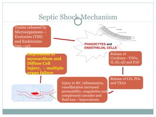 Septic Shock Mechanism
Toxins released by
Microorganisms –
Exotoxins (TSS)
and Endotoxins
(gm –ve)
PHAGOCYTES and
ENDOTHELIAL CELLS
Release of
Cytokines - TNFα,
IL (IL-1β) and PAF
Release of LTs, PGs
and TXA2Injury to BV, inflammation,
vasodilatation increased
permeability, coagulation and
complement cascades and
fluid loss – hypovolemia
Depression of
myocardium and
Diffuse Cell
Injury, – multiple
organ failure
 