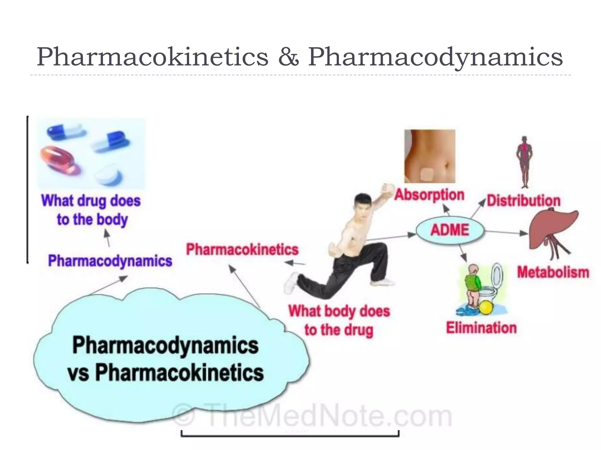 Pharmacokinetics and Pharmacodynamics Applications in Pharmacotherapy | PPT