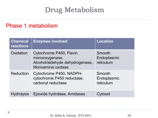 Pharmacokinetics and Pharmacodynamics Applications in Pharmacotherapy ...