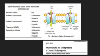 Adsuvan Rug Pharmacotherapy of Pain Management: Analgesics, NSAIDs, Opioids and ...