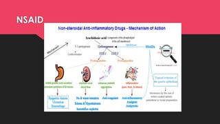 Adsuvan Rug Pharmacotherapy of Pain Management: Analgesics, NSAIDs, Opioids and ...