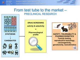 From test tube to the market –  PRECLINICAL RESEARCH SYNTHESIS CANDIDATES SAFETY, TOLERABILITY & PHARMACOKINETICS Toxicity testing ,  reproductive toxicology,   carcinogenicity, genotoxicity, toxicokinetics  DRUG SCREENING activity & selectivity = Pharmacological profile 