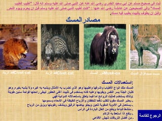 الرجوع للقائمة ثبت في صحيح مسلم عن أبي سعيد الخدري رضي الله عنه عن النبي صلى الله عليه وسلم انه قال : " أطيب الطيب المسك "  وفي الصحيحين عن عائشة رضي الله عنها  : " كنت أطيب النبي صلى الله عليه وسلم قبل ان يحرم ويوم النحر ,  وقبل ان يطوف بالبيت بطيب فيه مسك . مصادر ا لمسك غزال   المسك  deer musk   ثور   المسك  Musk-ox   قط الزباد  Civet cat   قط الزباد  Civet cat   استعمالات المسك : المسك ملك انواع الأطياب واشرفها واطيبها وهو الذي تضرب به الأمثال ويشبه به غيره ولا يشبه بغيره ,  وهو كثبان الجنة يسر النفس ويقويها وعليه فانه يستخدم في تثبيت أغلى العطور ليبقى رائحتها فواحة سنين طويلة ولذلك يستخدم كمثبت للروائح اما فيما يتعلق باستعمالاته الدوائية فهي : ـ يعتبر المسك مقويا للقلب نافعا للخفقان والأرياح الغليظة في الأمعاء وسمومها . ـ يستعمل في الأدوية المقوية للعين ويجلو بياضها الرقيق وينشف رطوبتها ويزيل من الرياح . ـ منشط للباءة وينفع من العلل الباردة في الرأس . ـ ينفع اذا أستعط به الزكام . ـ من أفضل الترياقات لنهش الأفاعي 