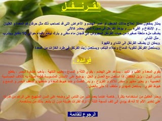 الرجوع للقائمة القــرنـــفــل يمتاز بمفعول ممتاز لعلاج حالات الضعف أو عسر الهضم و الأعراض التى قد تصاحب ذلك مثل حرقان فم المعدة و الغثيان و الإنتفاخ و القىء  ....  و يؤخذ القرنفل في صورة شاى يحضر كالأتى   .. يضاف ملء ملعقة صغيرة من حبات القرنفل المجروش إلى فنجان ماء مغلى و يترك لينقع بالماء حوالى  10  دقائق ويشرب مثل الشاي   . ويمكن ان يضاف القرنفل الى الشاي والقهوة  . ويستعمل القرنفل لتقوية الدماغ وإجلاء البلغم، ويستعمل زيت القرنفل في طرد الغازات من المعدة  . فوائده  :   يقوي المعدة و القلب و الكبد ، يساعد على الهضم ، يقوي اللثة و الدماغ ، يطيب النكهة ، يذهب غشاوة البصر ، يقطع سلس البول ، يزيل الخفقان إذا استعمل مع العسل و الخل ، يوضع على الأسنان المتسوسة قطعه مبتلة به لأتلاف الحساسية العصبية ، و يعتبر مطهر و مخدر للآلام و القروح ، و يدر الطمث و ضد هبوط المعدة و ضعفها و ضعف البصر و السمع و هبوط القوي ، يستعمل كمهدئ و ملطف إذا حلي بالعسل  . وحذر الطفيل من استخدامه بكثرة  ,  خاصة عندما يعمد كثير من الناس إلى وضعه على السن المتهيج على الرغم من قدرته على تخدير الألم إلا أنه قد يؤدي إلى تلف أنسجة اللثة إذا ترك لفترات طويلة دون أن يشعر بذلك من يستخدمه . 