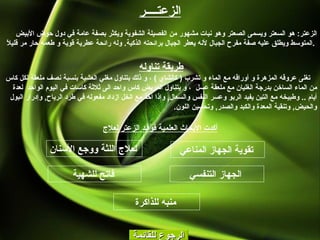 الرجوع للقائمة الزعتــــر الزعتر :  هو السعتر ويسمى الصعتر وهو نبات مشهور من الفصيلة الشفوية ويكثر بصفة عامة في دول حوض الأبيض المتوسط ويطلق عليه صفة مفرح الجبال لأنه يعطر الجبال برائحته الذكية .  وله رائحة عطرية قوية و طعمه حار مر قليلاً  .   طريقة تناوله   تغلى عروقه المزهرة و أوراقه مع الماء و تشرب  (  كالشاي  )  ، و ذلك بتناول مغلي العشبة بنسبة نصف ملعقة لكل كاس من الماء الساخن بدرجة الغليان مع ملعقة عسل  ، و يتناول المريض كاس واحد الى ثلاثة كاسات في اليوم الواحد  لعدة أيام  ..  وطبيخه مع التين يفيد الربو وعسر النفس والسعال ,  وإذا أخذ مع الخل ازداد مفعوله في طرد الرياح ,  وإدرار البول والحيض ,  وتنقية المعدة والكبد والصدر ,  وتحسين اللون . أكدت الأبحاث العلمية فوائد الزعتر لعلاج الجهاز التنفسي   تقوية الجهاز المناعي   فاتح للشهية   منبه للذاكرة   لعلاج اللثة ووجع الأسنان   