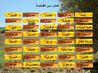 الماء الت ـ ف ـــ اح الكراوية الزنجبيل  .2 الكمون البابونج الزعفران الف ل يلفة الخضـروات الفواكه الليمون الزعتر الزنجبيل  .1 التم ـــ ر الثــــوم   جلجلان التــــيـــــن حبة حلاوة الشع ـ ي ـــــ ر شي ــــ ح الرمان المــــوز العن ـ ب العســــل الأسماك زريعة الكتان   الجزر القرنفــل التــــوت البرتقال زيت الزيتون الحلبـــــــة   اللـــوز الحبة السوداء عرقسوس السواك البصل المســـك القرفــة   العنبر اخـتـر مـن القـائمـة 